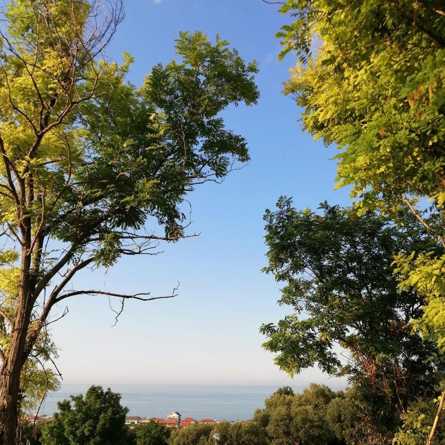 Il Magnolia Panzió Francavilla al Mare Kültér fotó